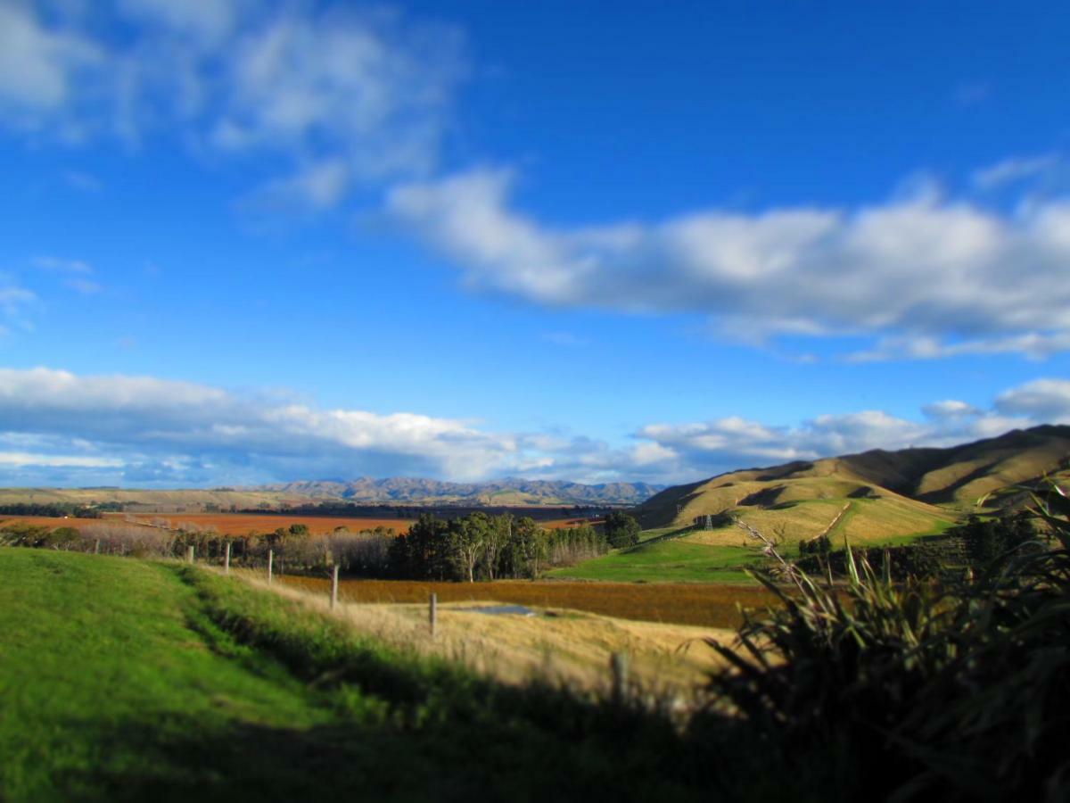 Hill Top Retreat Lower Dashwood 外观 照片