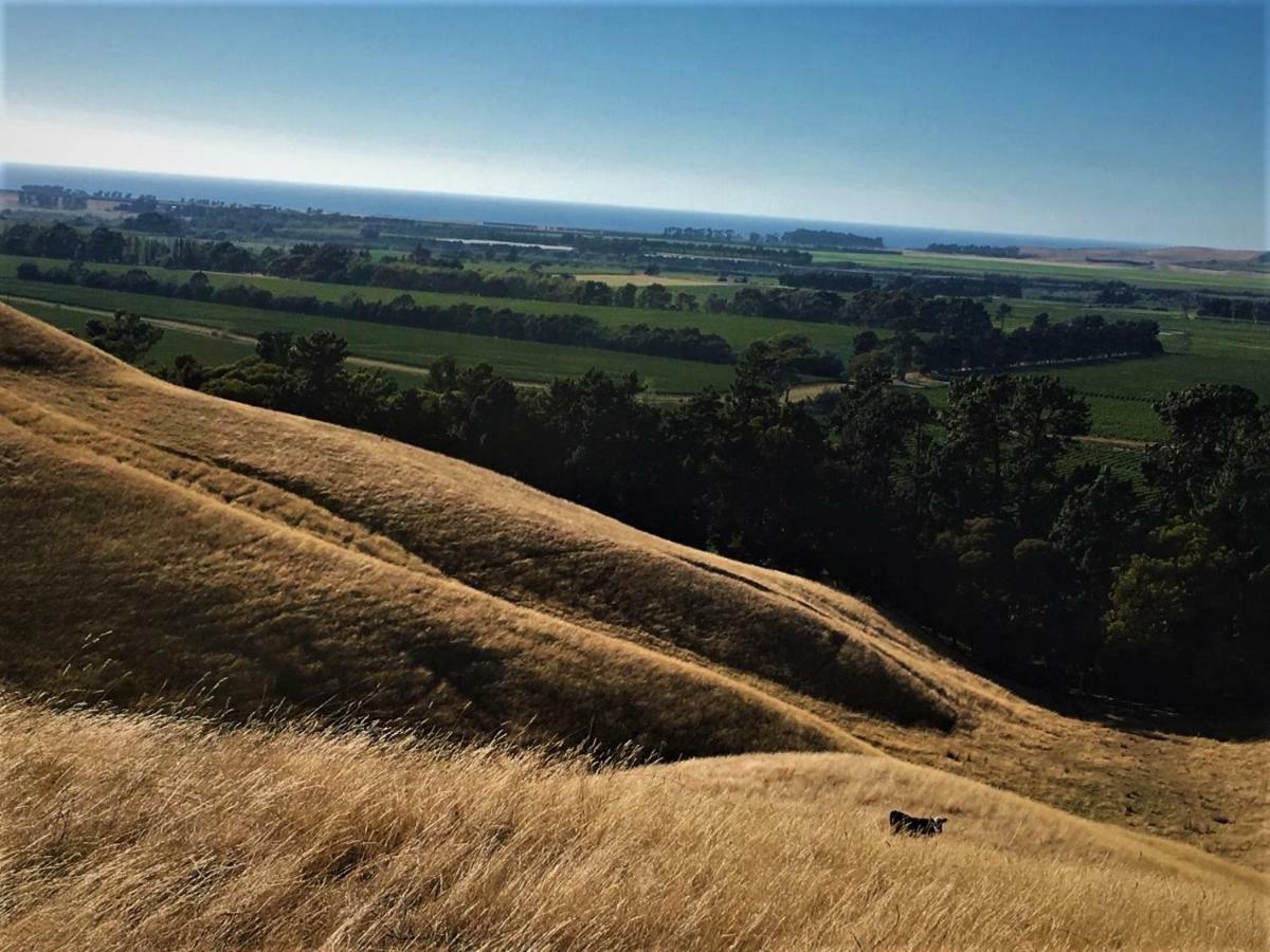 Hill Top Retreat Lower Dashwood 外观 照片